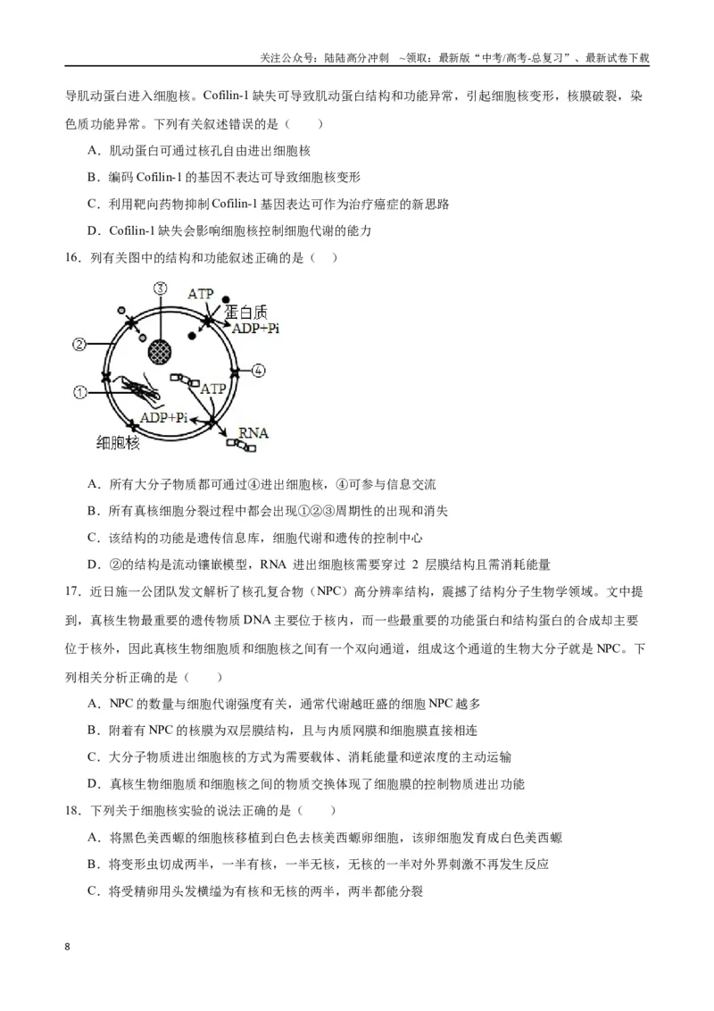 《专题5细胞膜和细胞核（原卷版)_06-生物-高考总复习_一轮复习_2024年_2024年高考生物一轮复习重难点专项突破_资料》第8页预览