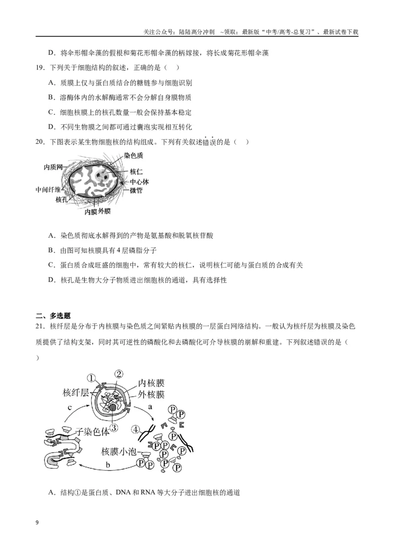 《专题5细胞膜和细胞核（原卷版)_06-生物-高考总复习_一轮复习_2024年_2024年高考生物一轮复习重难点专项突破_资料》第9页预览