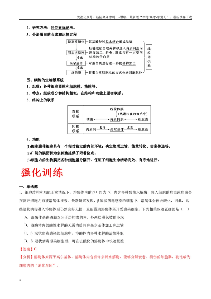 《专题6细胞器和生物膜系统（解析版)_06-生物-高考总复习_一轮复习_2024年_2024年高考生物一轮复习重难点专项突破_资料》第3页预览