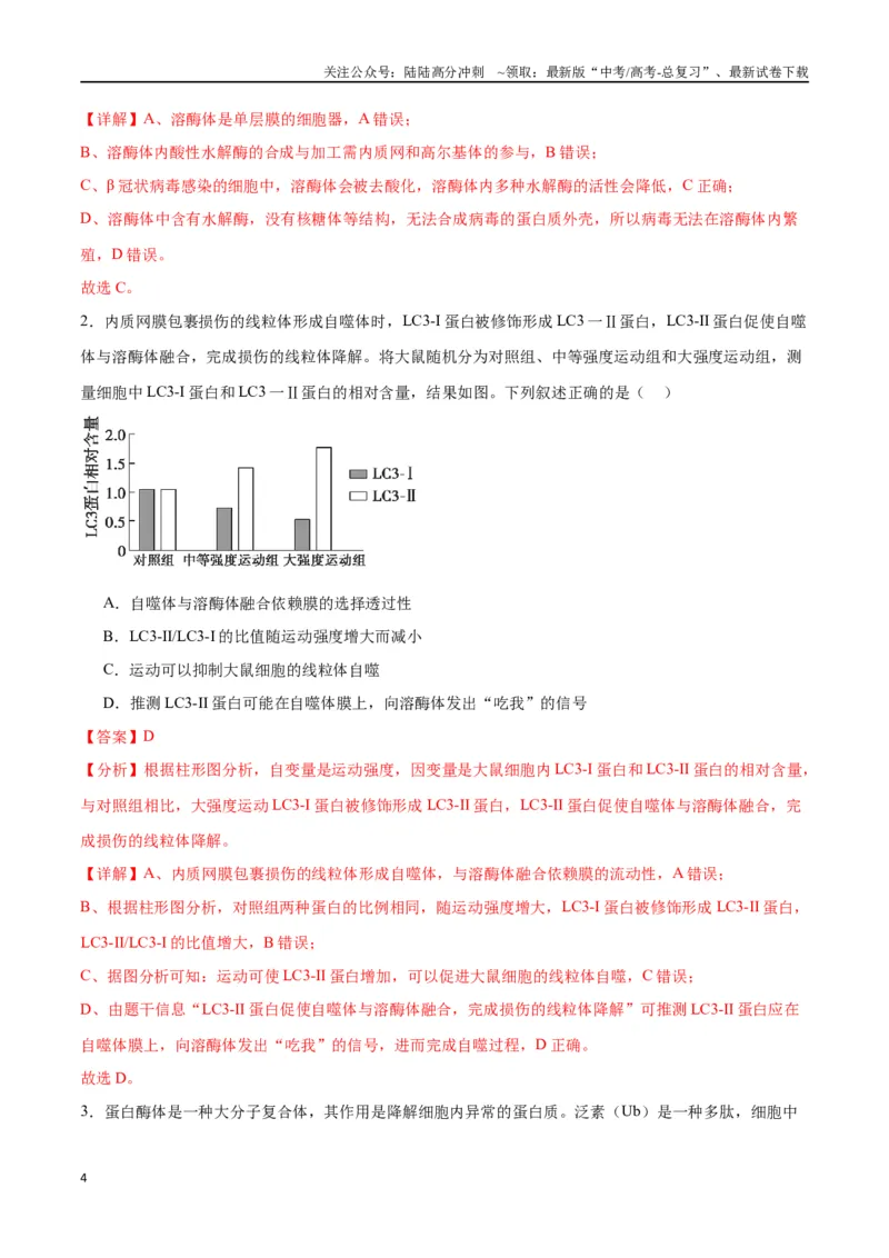 《专题6细胞器和生物膜系统（解析版)_06-生物-高考总复习_一轮复习_2024年_2024年高考生物一轮复习重难点专项突破_资料》第4页预览