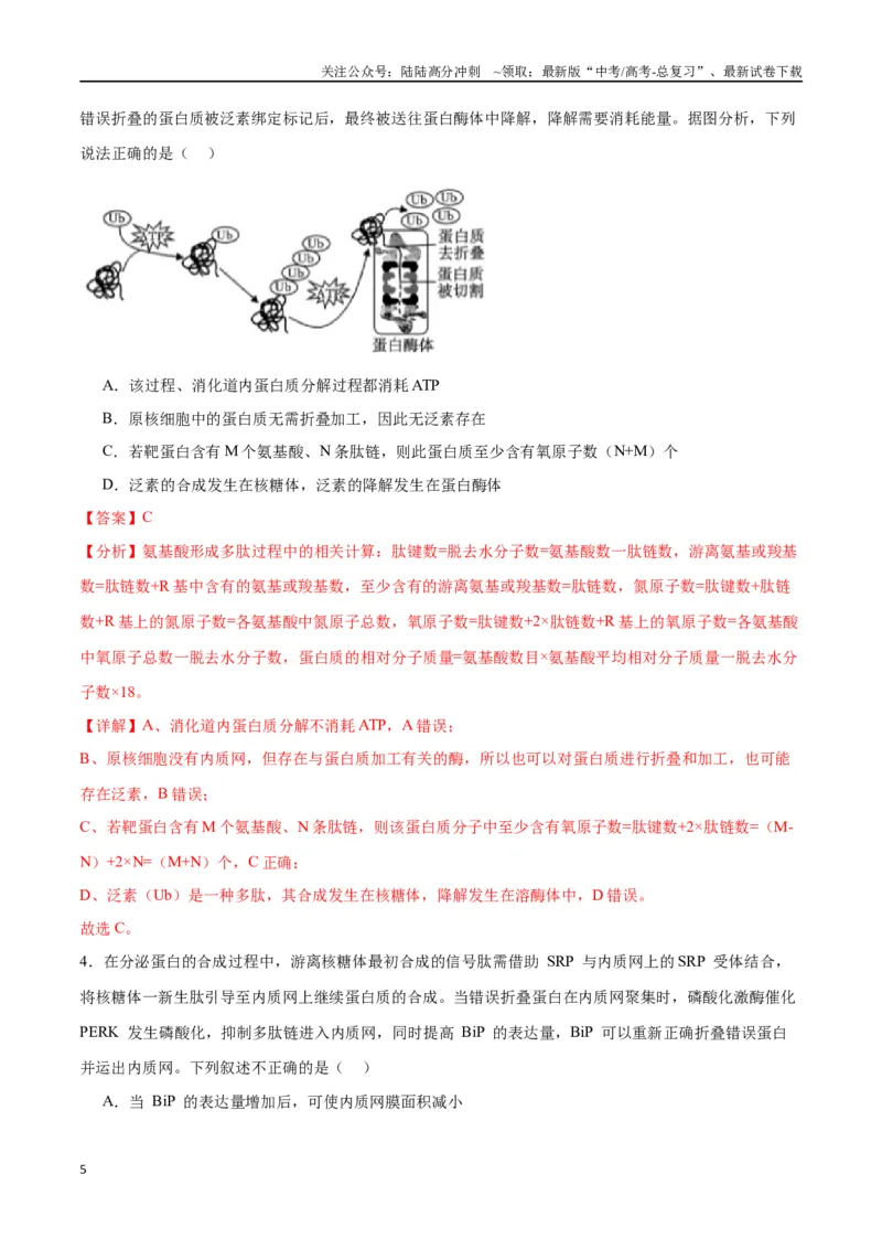 《专题6细胞器和生物膜系统（解析版)_06-生物-高考总复习_一轮复习_2024年_2024年高考生物一轮复习重难点专项突破_资料》第5页预览