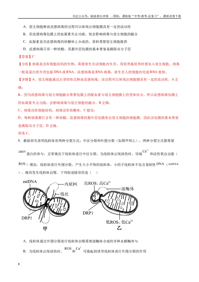 《专题6细胞器和生物膜系统（解析版)_06-生物-高考总复习_一轮复习_2024年_2024年高考生物一轮复习重难点专项突破_资料》第8页预览