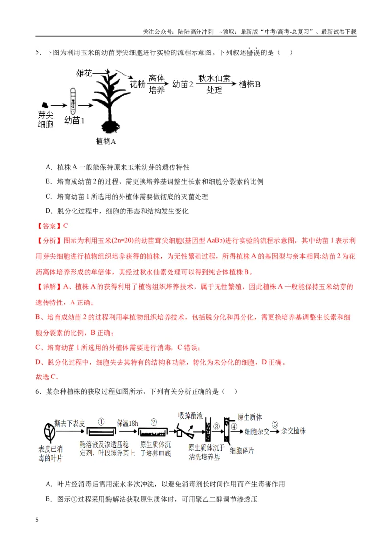 《专题40植物细胞工程（解析版）_06-生物-高考总复习_一轮复习_2024年_2024年高考生物一轮复习重难点专项突破_资料》第5页预览