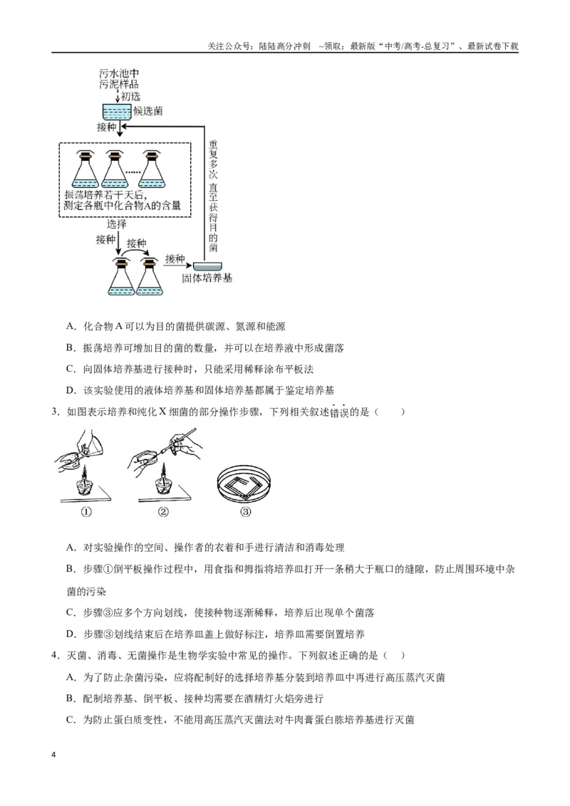《专题39微生物的培养技术和应用（原卷版）_06-生物-高考总复习_一轮复习_2024年_2024年高考生物一轮复习重难点专项突破_资料》第4页预览