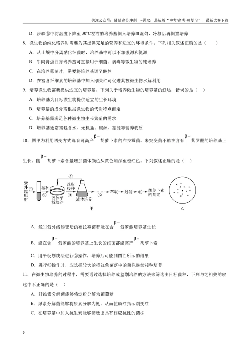 《专题39微生物的培养技术和应用（原卷版）_06-生物-高考总复习_一轮复习_2024年_2024年高考生物一轮复习重难点专项突破_资料》第6页预览