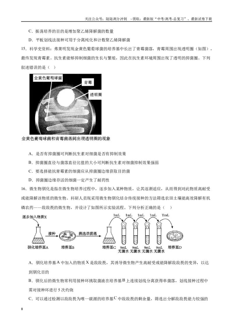 《专题39微生物的培养技术和应用（原卷版）_06-生物-高考总复习_一轮复习_2024年_2024年高考生物一轮复习重难点专项突破_资料》第8页预览