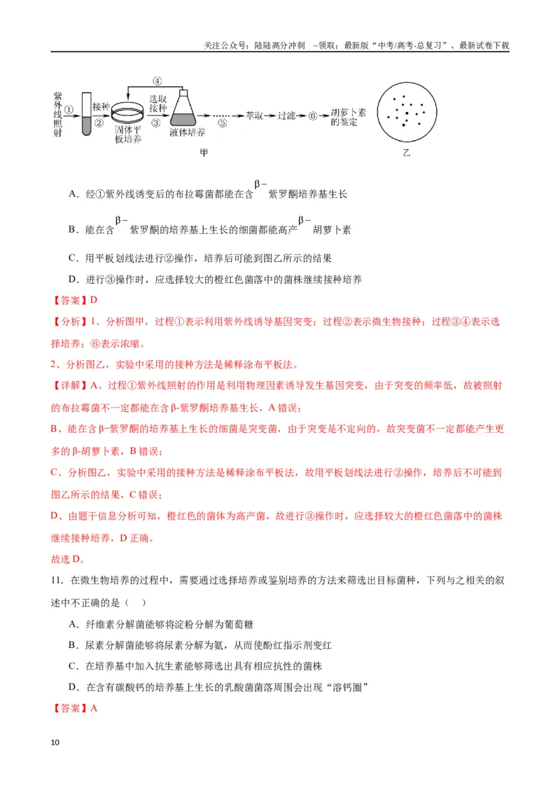 《专题39微生物的培养技术和应用（解析版）_06-生物-高考总复习_一轮复习_2024年_2024年高考生物一轮复习重难点专项突破_资料》第10页预览