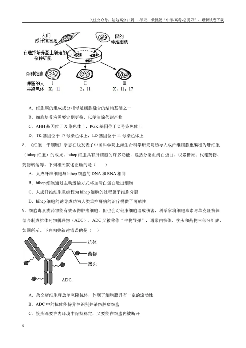 《专题41动物细胞工程（原卷版）_06-生物-高考总复习_一轮复习_2024年_2024年高考生物一轮复习重难点专项突破_资料》第5页预览
