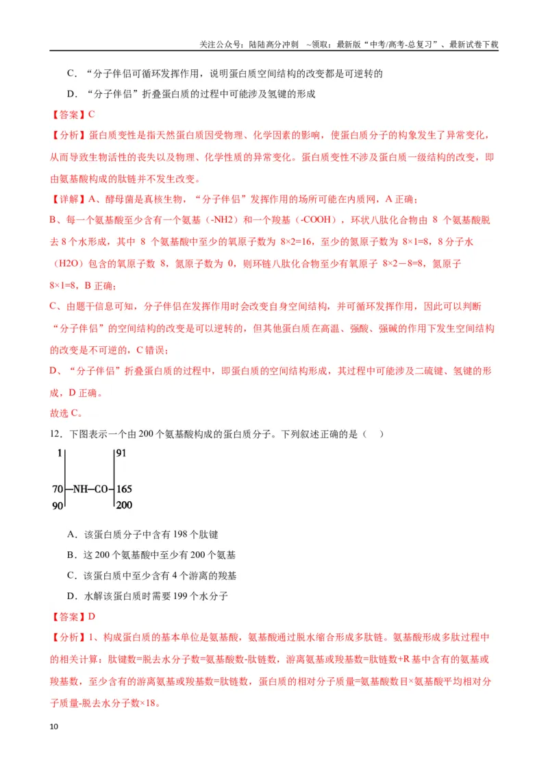 《专题4蛋白质和核酸（解析版)_06-生物-高考总复习_一轮复习_2024年_2024年高考生物一轮复习重难点专项突破_资料》第10页预览