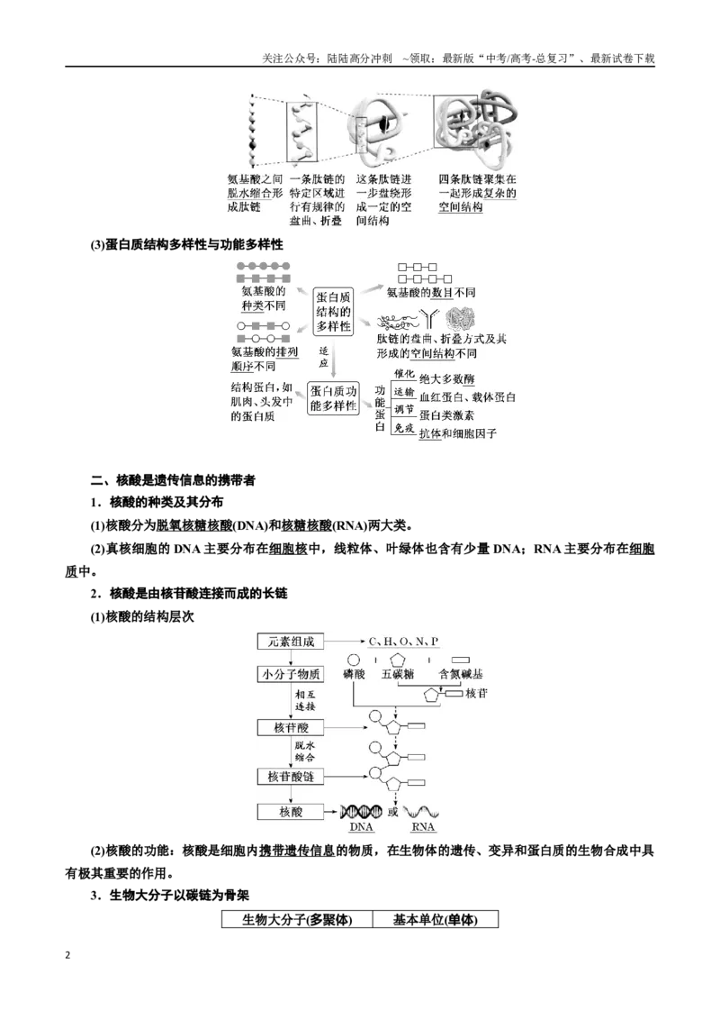 《专题4蛋白质和核酸（解析版)_06-生物-高考总复习_一轮复习_2024年_2024年高考生物一轮复习重难点专项突破_资料》第2页预览