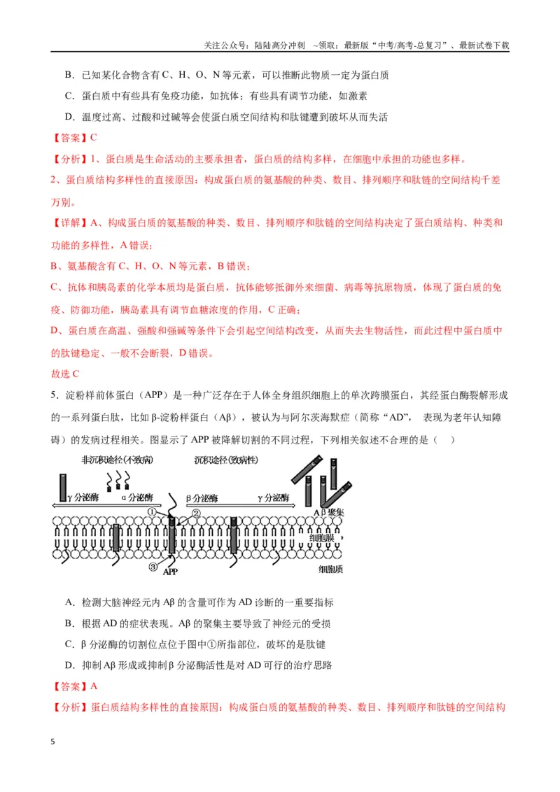 《专题4蛋白质和核酸（解析版)_06-生物-高考总复习_一轮复习_2024年_2024年高考生物一轮复习重难点专项突破_资料》第5页预览