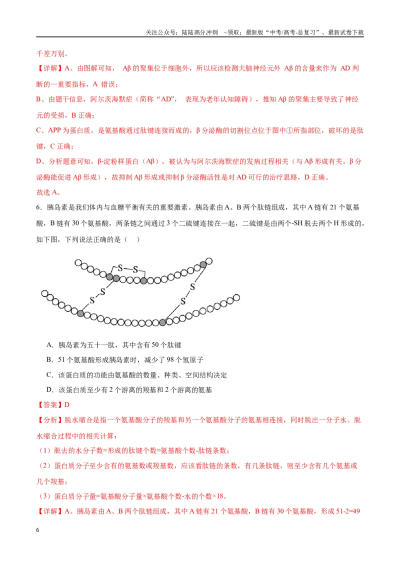 《专题4蛋白质和核酸（解析版)_06-生物-高考总复习_一轮复习_2024年_2024年高考生物一轮复习重难点专项突破_资料》第6页预览