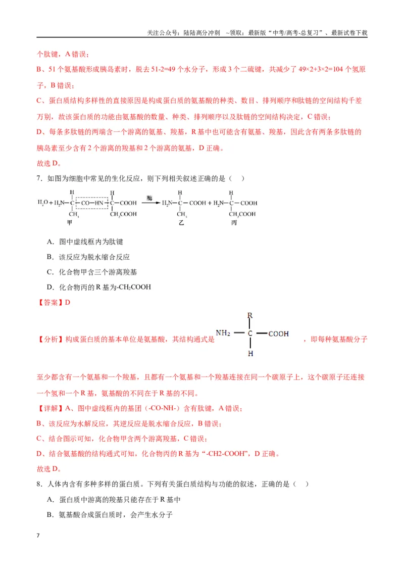 《专题4蛋白质和核酸（解析版)_06-生物-高考总复习_一轮复习_2024年_2024年高考生物一轮复习重难点专项突破_资料》第7页预览