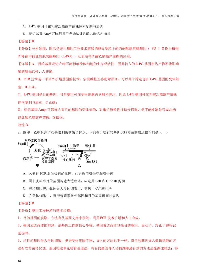 《专题43基因工程（解析版）_06-生物-高考总复习_一轮复习_2024年_2024年高考生物一轮复习重难点专项突破_资料》第10页预览