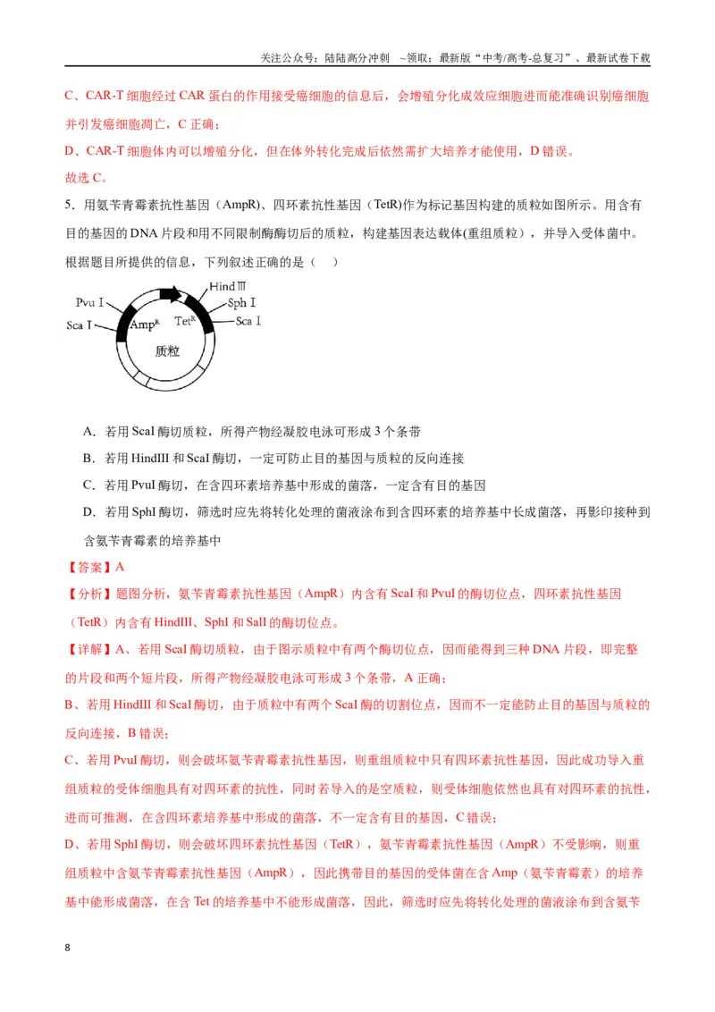 《专题43基因工程（解析版）_06-生物-高考总复习_一轮复习_2024年_2024年高考生物一轮复习重难点专项突破_资料》第8页预览