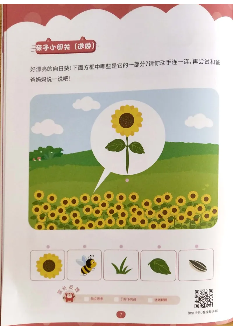 《第四专题《关系应用》练习册_（G1450)火花思维幼小衔接及L1-L5_L1完结_02.完结AI40课_04《关系应用》》第7页预览