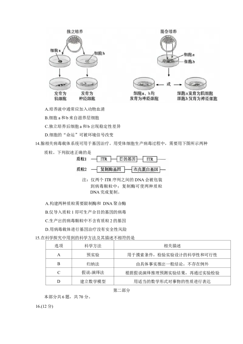 《北京市海淀区2026届高三高考二模生物试卷（含答案）_2024-2027高三（6-6月题库）_2026年05月高三试卷_260517北京市海淀区2026届高三高考二模（全科）》第4页预览