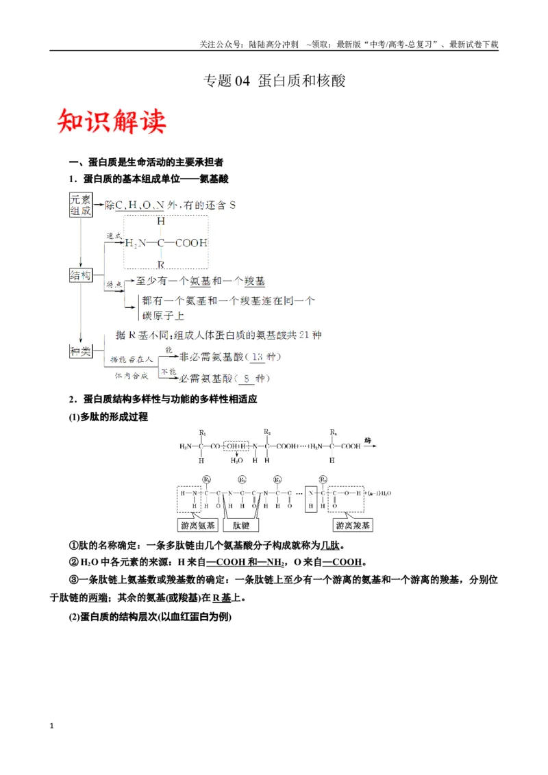 《专题4蛋白质和核酸（原卷版)_06-生物-高考总复习_一轮复习_2024年_2024年高考生物一轮复习重难点专项突破_资料》第1页预览