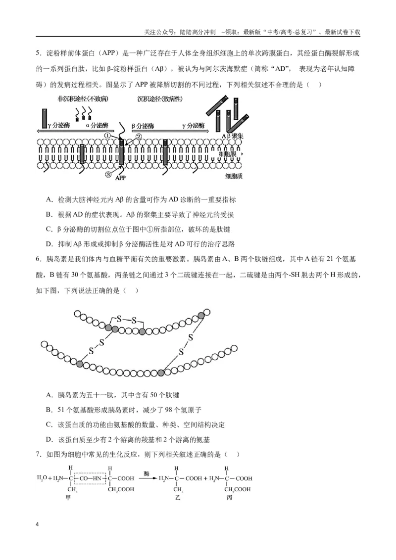 《专题4蛋白质和核酸（原卷版)_06-生物-高考总复习_一轮复习_2024年_2024年高考生物一轮复习重难点专项突破_资料》第4页预览