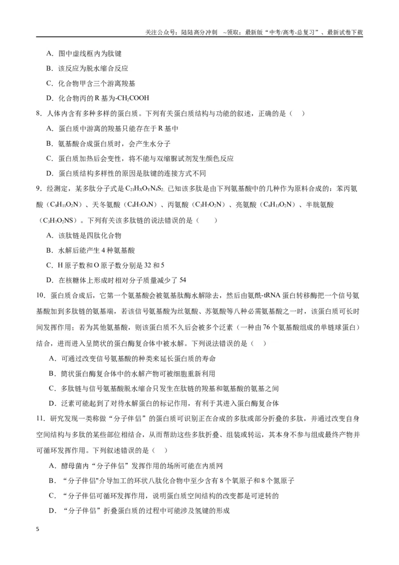 《专题4蛋白质和核酸（原卷版)_06-生物-高考总复习_一轮复习_2024年_2024年高考生物一轮复习重难点专项突破_资料》第5页预览