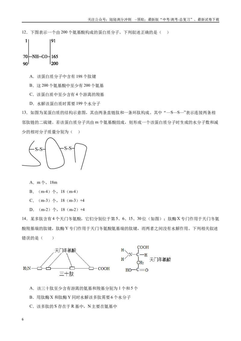 《专题4蛋白质和核酸（原卷版)_06-生物-高考总复习_一轮复习_2024年_2024年高考生物一轮复习重难点专项突破_资料》第6页预览