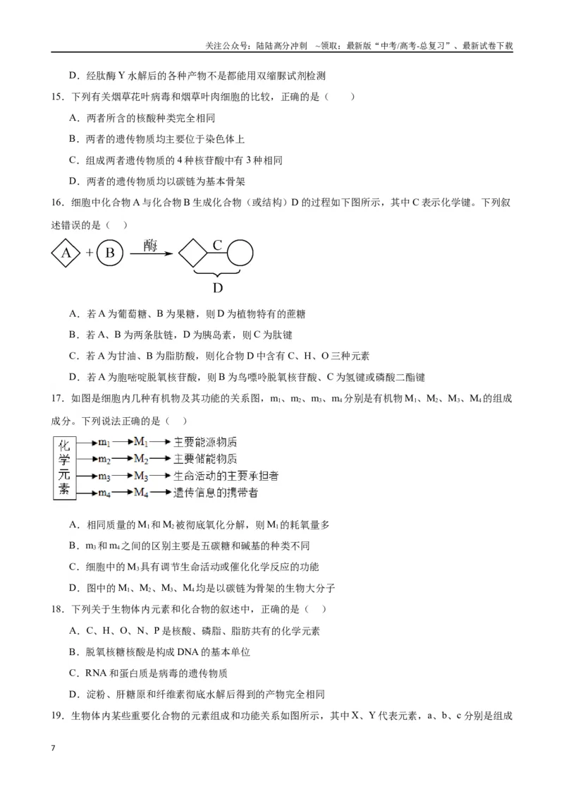 《专题4蛋白质和核酸（原卷版)_06-生物-高考总复习_一轮复习_2024年_2024年高考生物一轮复习重难点专项突破_资料》第7页预览