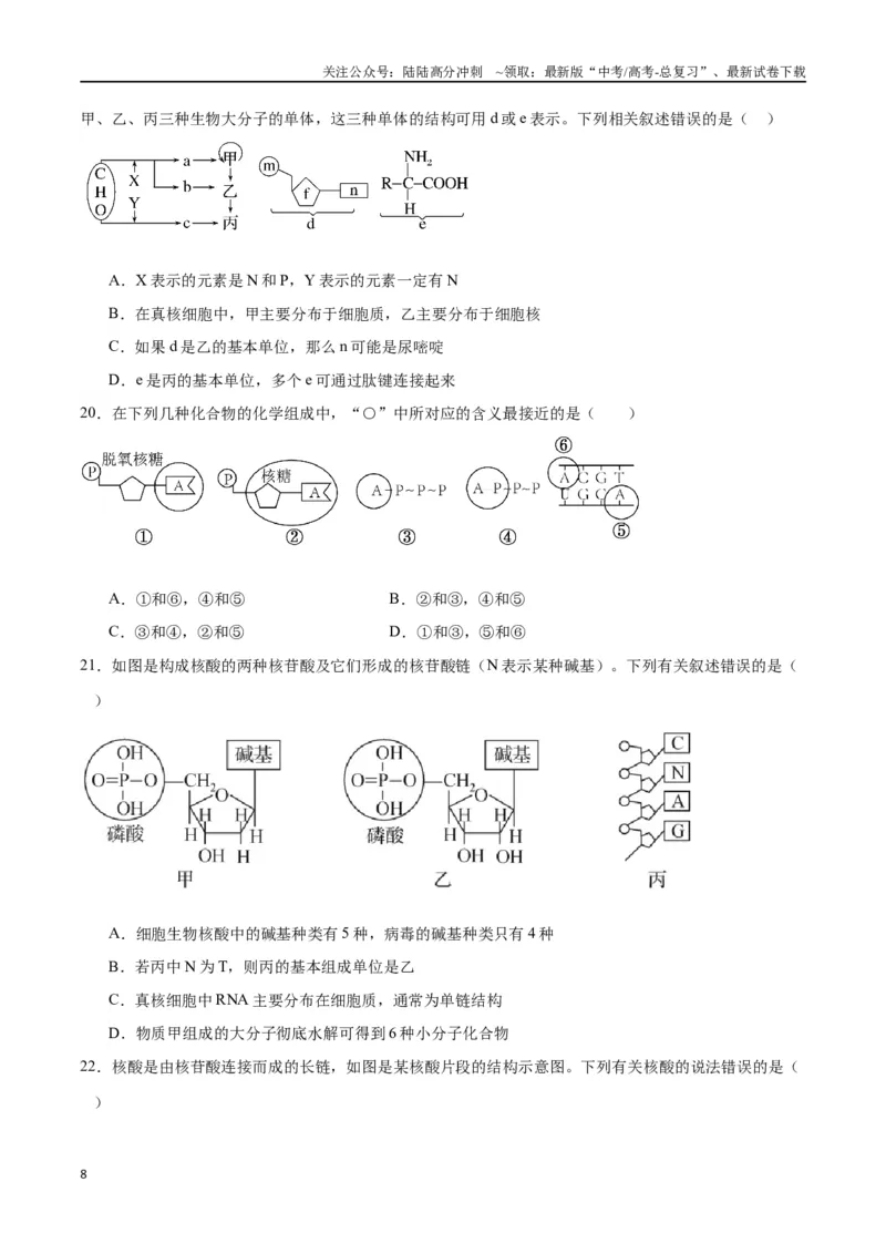 《专题4蛋白质和核酸（原卷版)_06-生物-高考总复习_一轮复习_2024年_2024年高考生物一轮复习重难点专项突破_资料》第8页预览