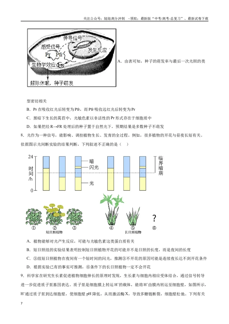《专题32植物生命活动调节（原卷版)_06-生物-高考总复习_一轮复习_2024年_2024年高考生物一轮复习重难点专项突破_资料》第7页预览