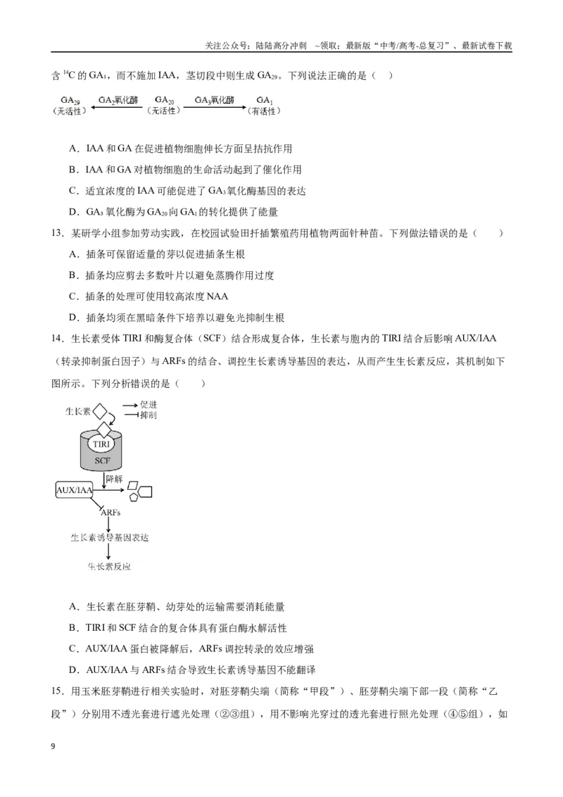 《专题32植物生命活动调节（原卷版)_06-生物-高考总复习_一轮复习_2024年_2024年高考生物一轮复习重难点专项突破_资料》第9页预览