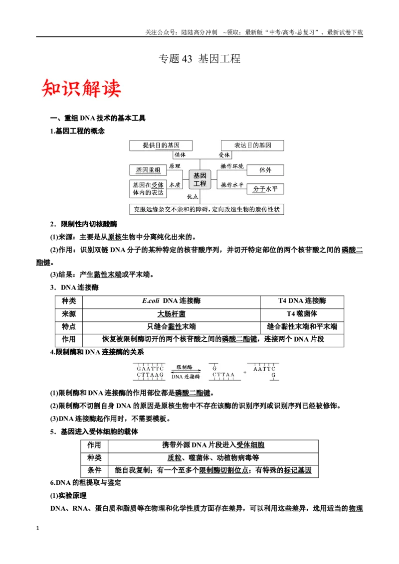 《专题43基因工程（原卷版）_06-生物-高考总复习_一轮复习_2024年_2024年高考生物一轮复习重难点专项突破_资料》第1页预览