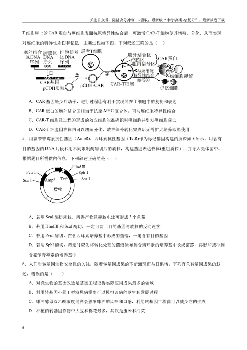 《专题43基因工程（原卷版）_06-生物-高考总复习_一轮复习_2024年_2024年高考生物一轮复习重难点专项突破_资料》第6页预览