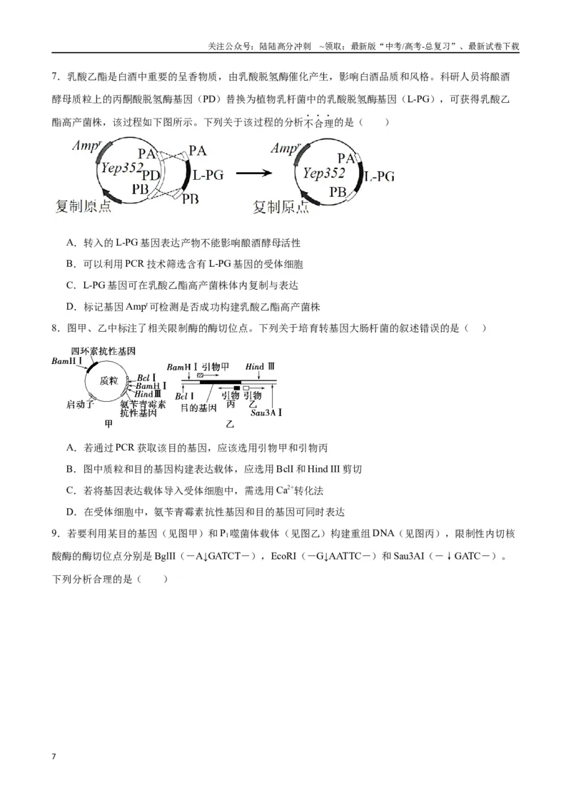 《专题43基因工程（原卷版）_06-生物-高考总复习_一轮复习_2024年_2024年高考生物一轮复习重难点专项突破_资料》第7页预览