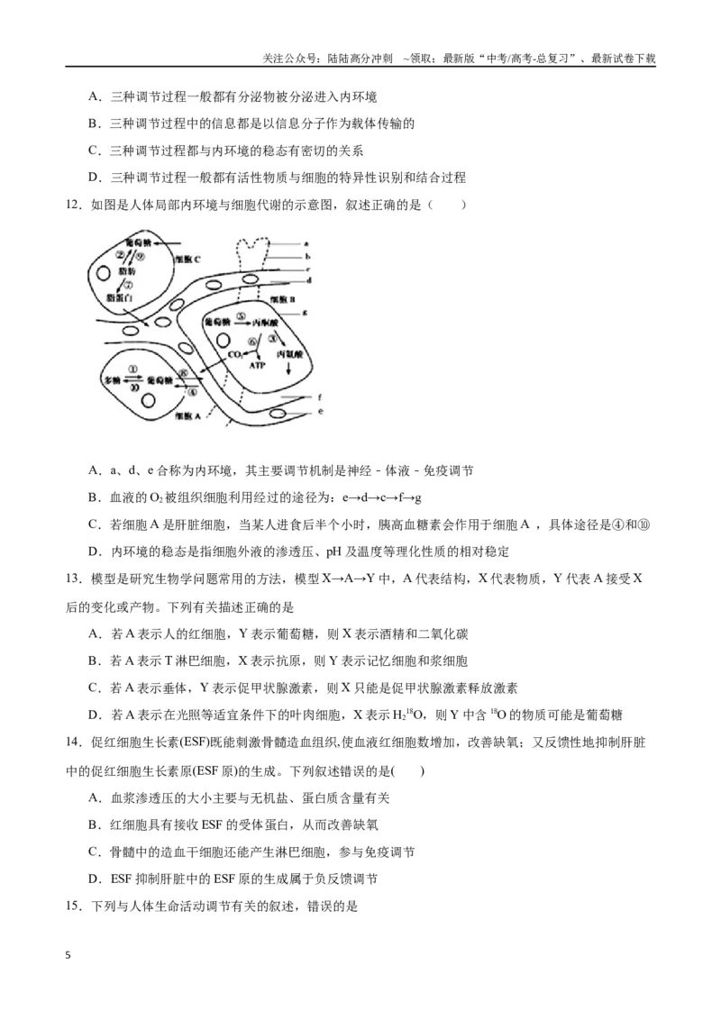 《专题31动物生命活动调节的综合分析（原卷版)_06-生物-高考总复习_一轮复习_2024年_2024年高考生物一轮复习重难点专项突破_资料》第5页预览