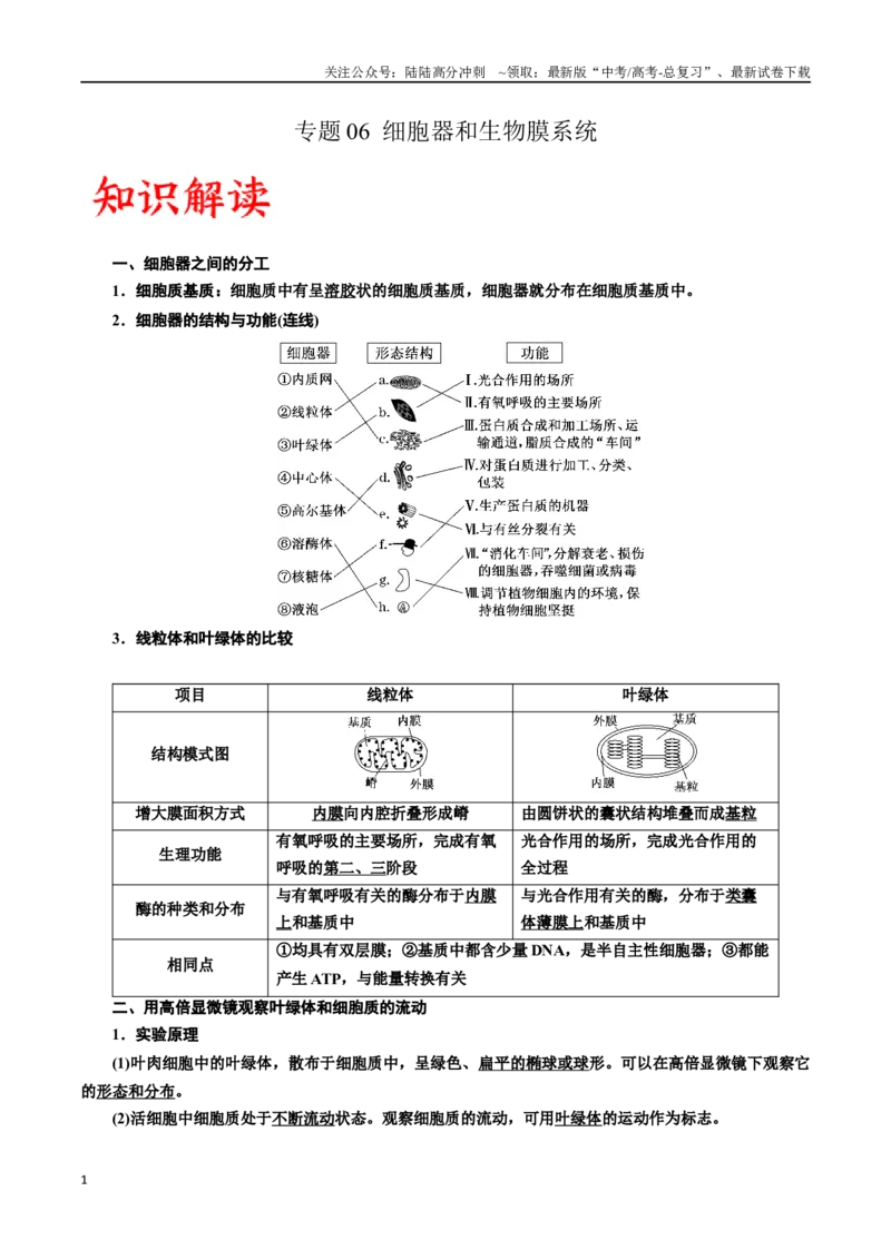 《专题6细胞器和生物膜系统（原卷版)_06-生物-高考总复习_一轮复习_2024年_2024年高考生物一轮复习重难点专项突破_资料》第1页预览