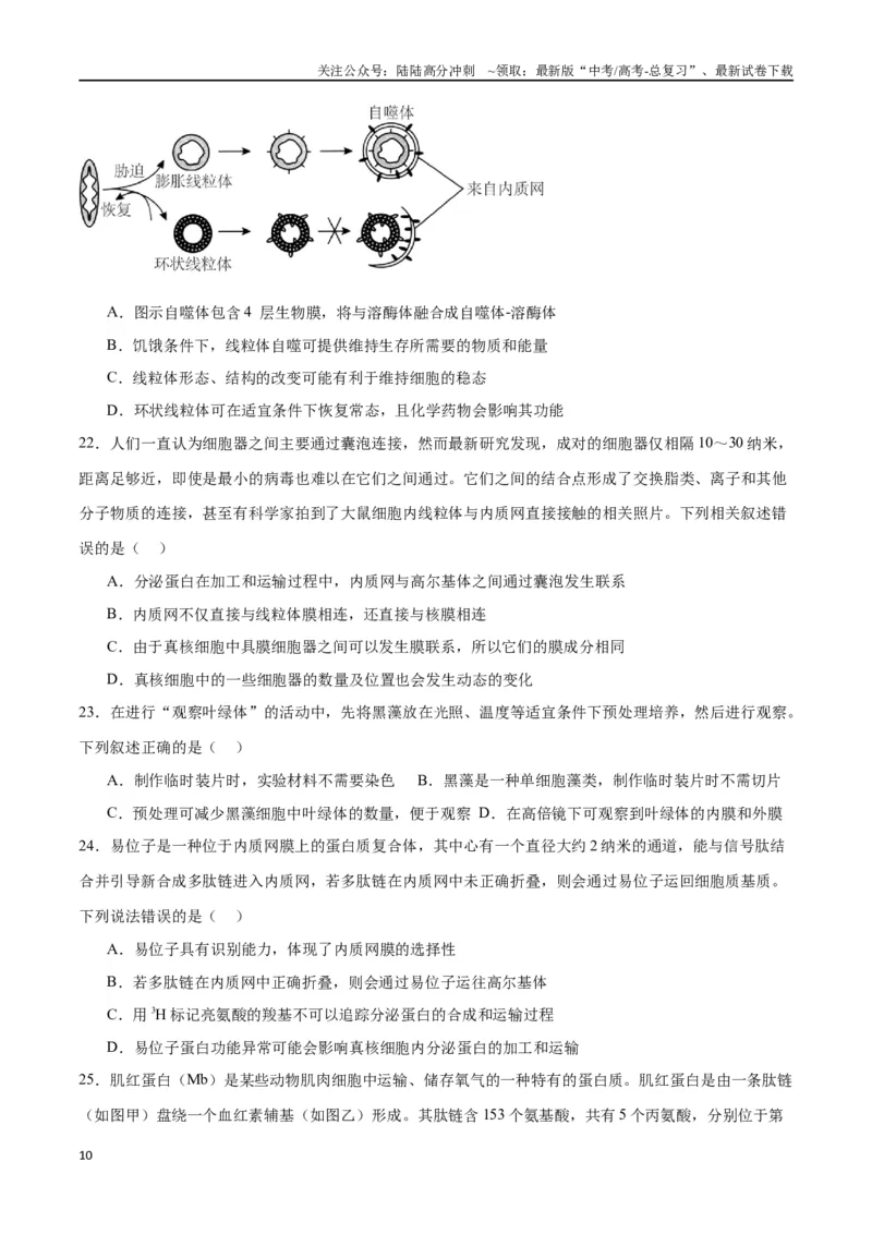 《专题6细胞器和生物膜系统（原卷版)_06-生物-高考总复习_一轮复习_2024年_2024年高考生物一轮复习重难点专项突破_资料》第10页预览