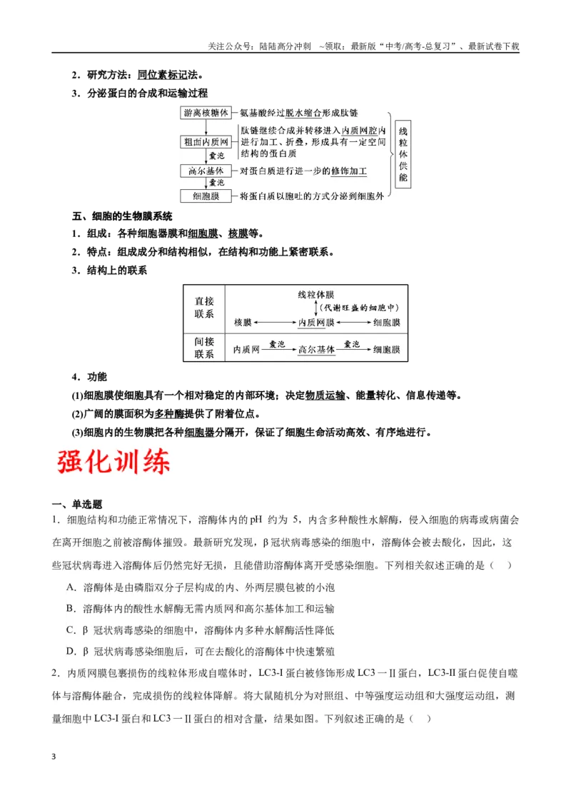 《专题6细胞器和生物膜系统（原卷版)_06-生物-高考总复习_一轮复习_2024年_2024年高考生物一轮复习重难点专项突破_资料》第3页预览