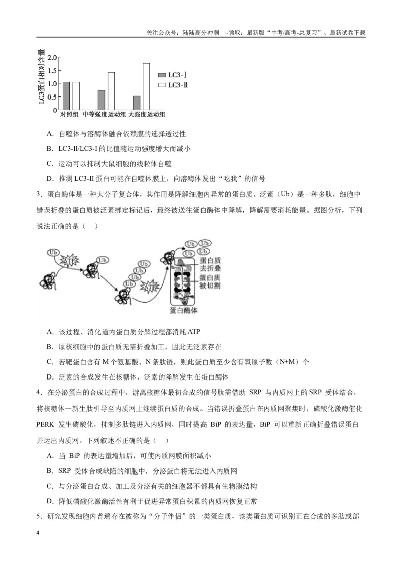 《专题6细胞器和生物膜系统（原卷版)_06-生物-高考总复习_一轮复习_2024年_2024年高考生物一轮复习重难点专项突破_资料》第4页预览