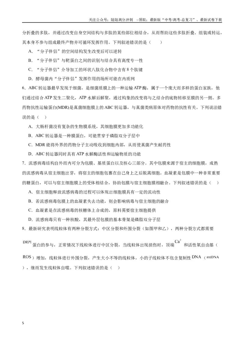 《专题6细胞器和生物膜系统（原卷版)_06-生物-高考总复习_一轮复习_2024年_2024年高考生物一轮复习重难点专项突破_资料》第5页预览