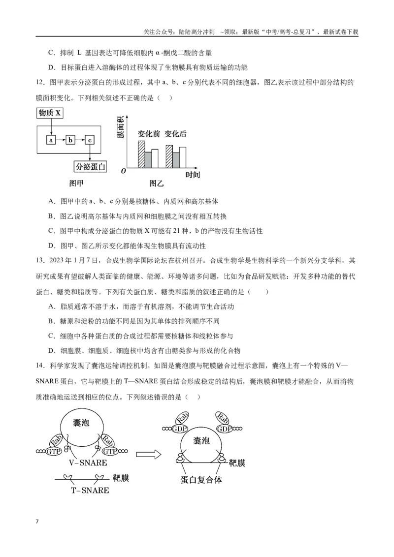 《专题6细胞器和生物膜系统（原卷版)_06-生物-高考总复习_一轮复习_2024年_2024年高考生物一轮复习重难点专项突破_资料》第7页预览