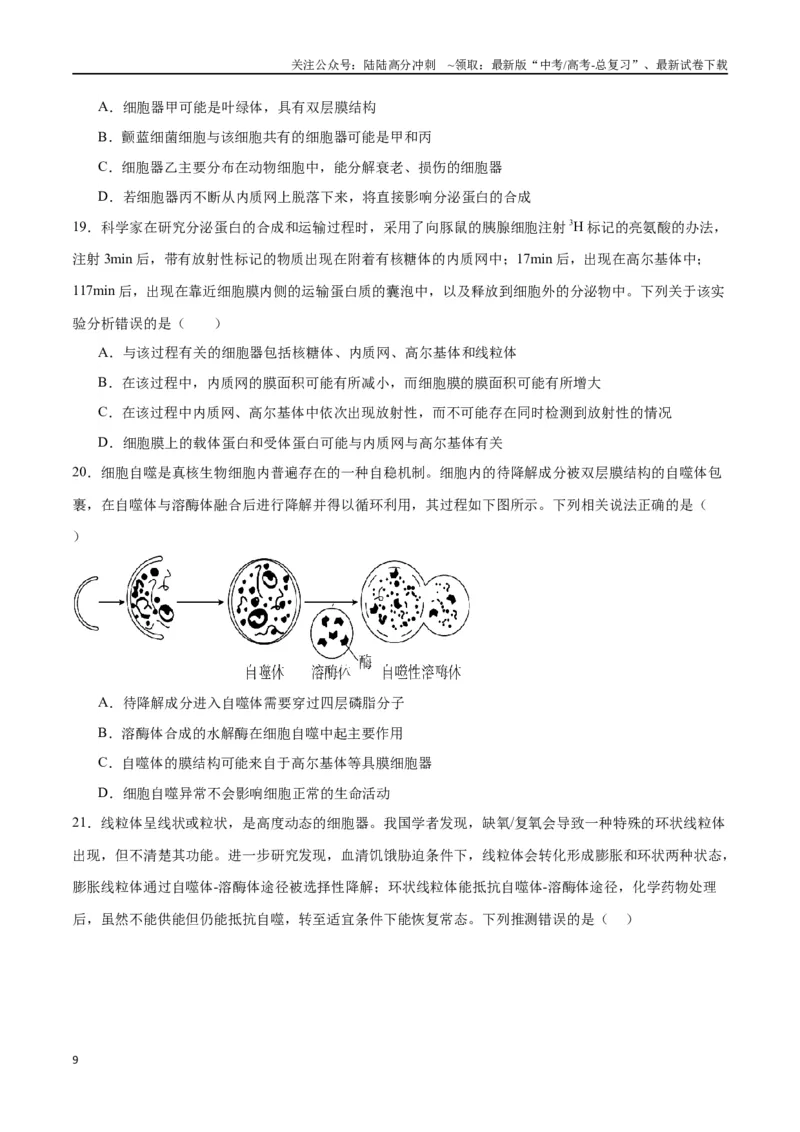 《专题6细胞器和生物膜系统（原卷版)_06-生物-高考总复习_一轮复习_2024年_2024年高考生物一轮复习重难点专项突破_资料》第9页预览