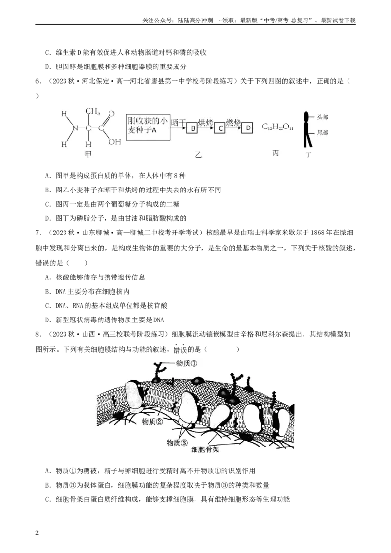《专题综合练01细胞的组成物质以及结构和功能(原卷版)_06-生物-高考总复习_一轮复习_2024年_2024年高考生物一轮复习考点帮（新高考）_必修1》第2页预览