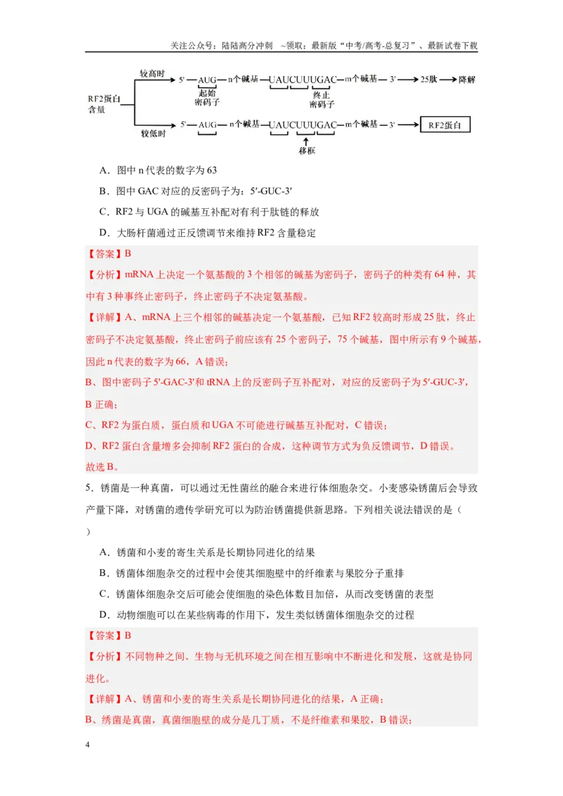 《临考押题卷（黑吉辽蒙专用）（教师版）_06-生物-高考总复习_专项复习_2025年_2025年高考生物抢押秘籍（黑吉辽蒙专用）》第4页预览