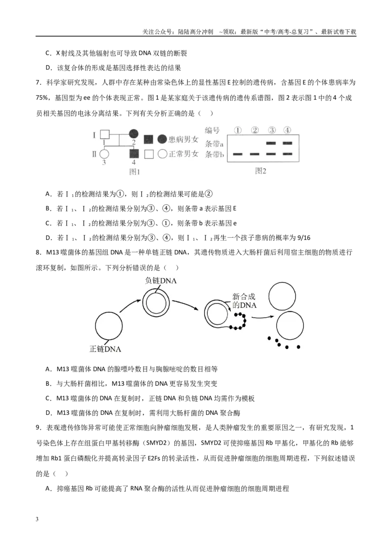《临考押题卷03（15+5+5）(学生版)_06-生物-高考总复习_专项复习_2025年_2025年高考生物抢分秘籍（新高考专用）_2025版》第3页预览