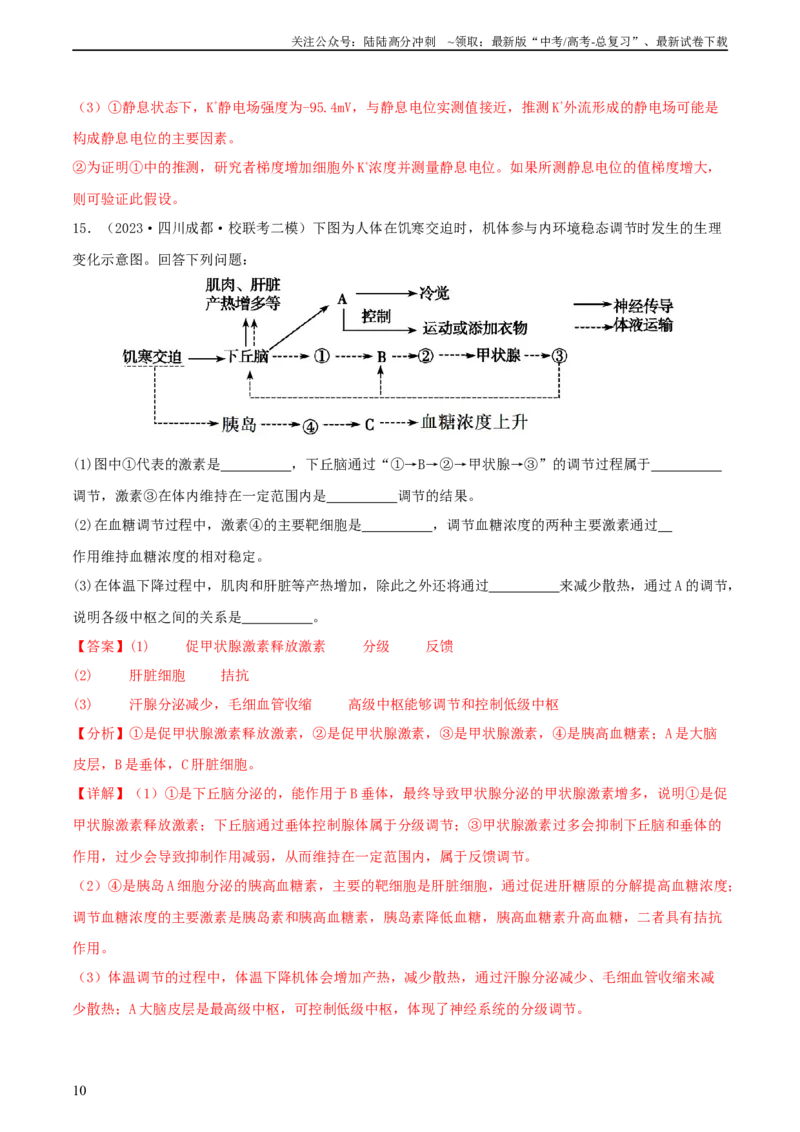 《专题综合练08动物生命活动调节(解析版)_06-生物-高考总复习_一轮复习_2024年_2024年高考生物一轮复习考点帮（新高考）_选择性必修1》第10页预览