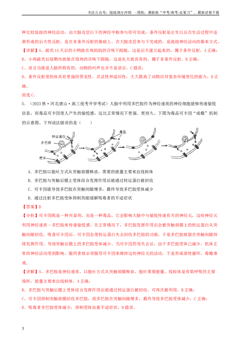 《专题综合练08动物生命活动调节(解析版)_06-生物-高考总复习_一轮复习_2024年_2024年高考生物一轮复习考点帮（新高考）_选择性必修1》第3页预览