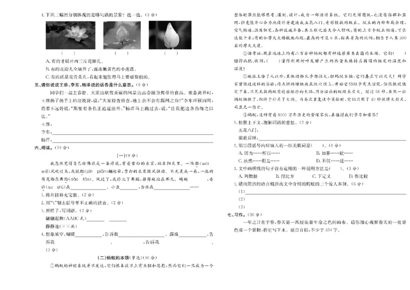 《三年级单元测试卷.PDF_小学语文精品试卷合集（1-6年级下册）_《阳光训练单元测试卷》》第3页预览