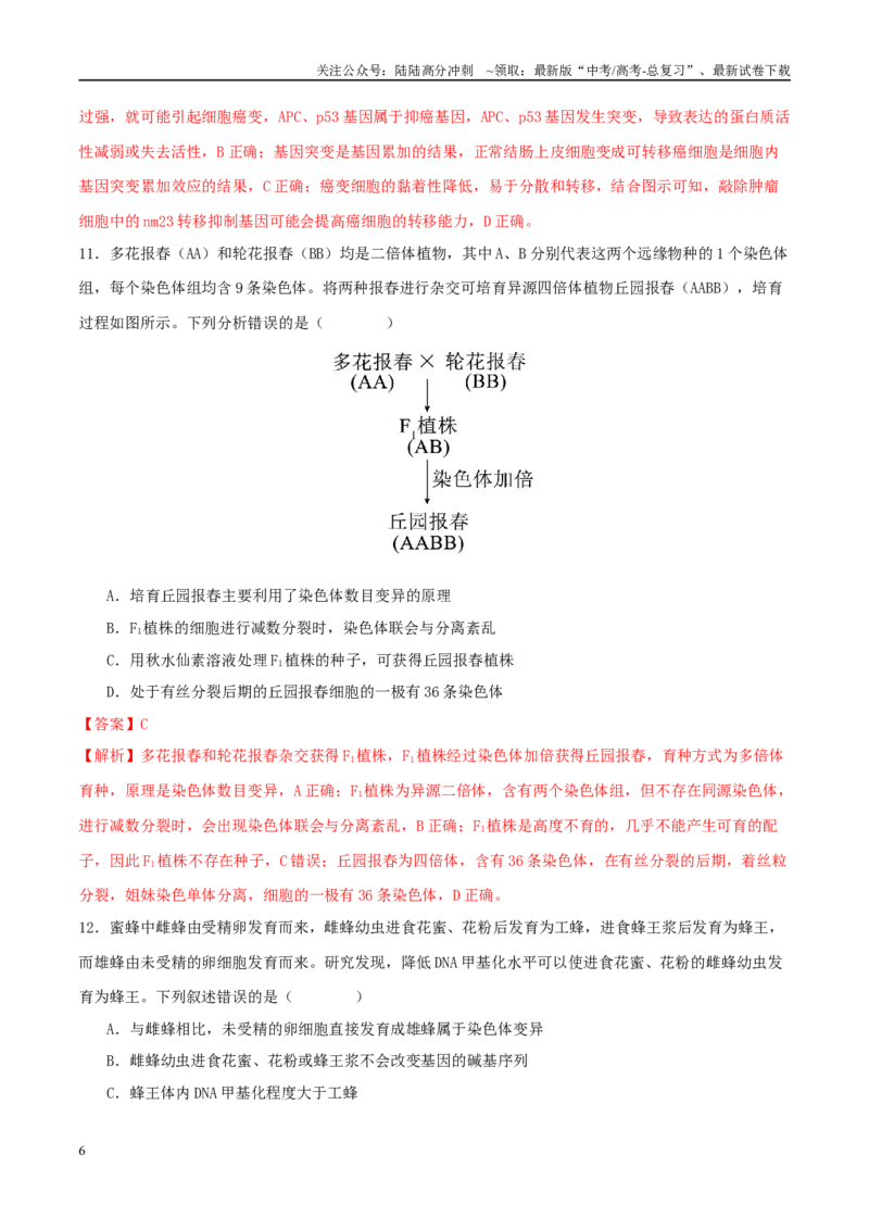 《专题五遗传的分子基础、变异和进化（教师版）_06-生物-高考总复习_二轮复习_2025年_2025年高考生物二轮复习课件+讲义+练习（新高考通用）》第6页预览