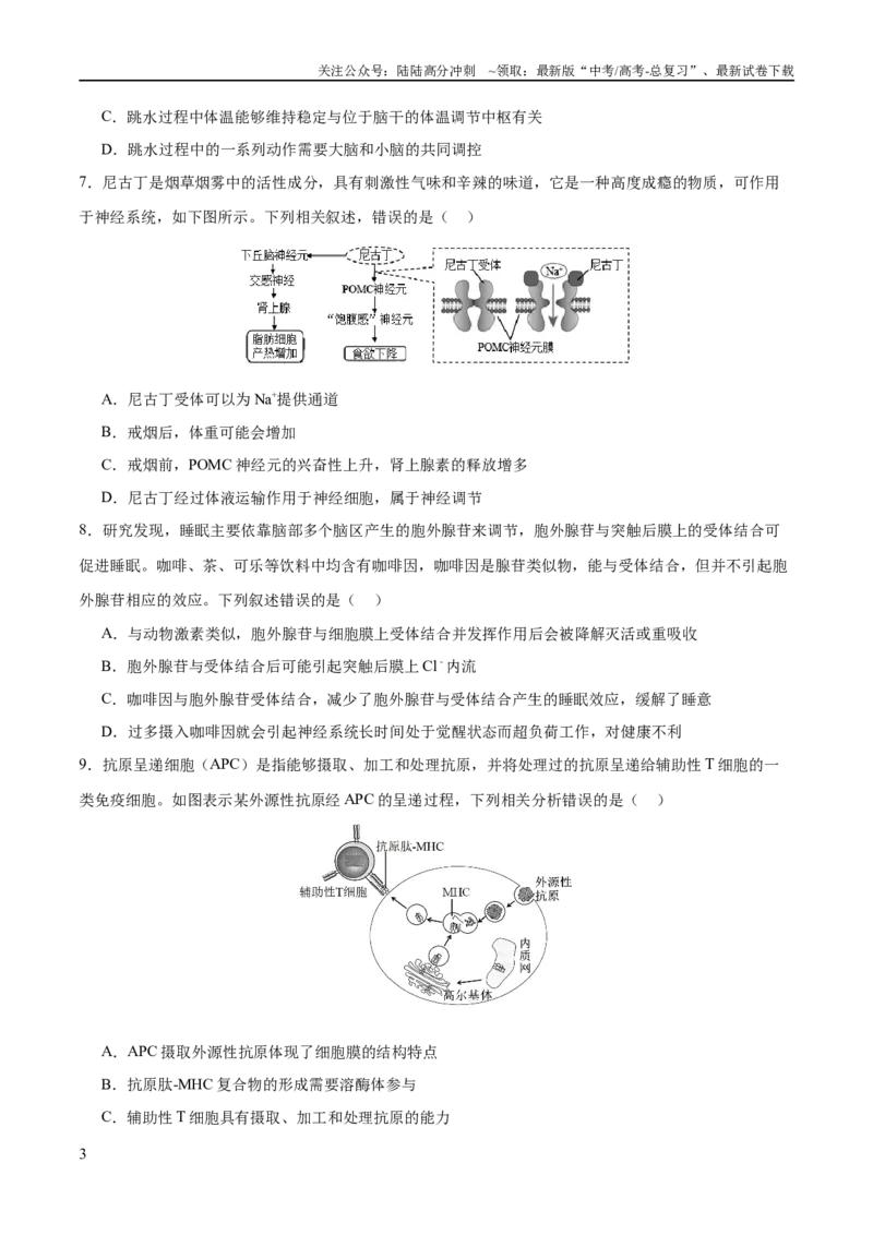 《专题六稳态与调节（测试）（原卷版）_06-生物-高考总复习_二轮复习_2024年_2024年高考生物二轮复习讲练测（新教材新高考）_配套练习》第3页预览