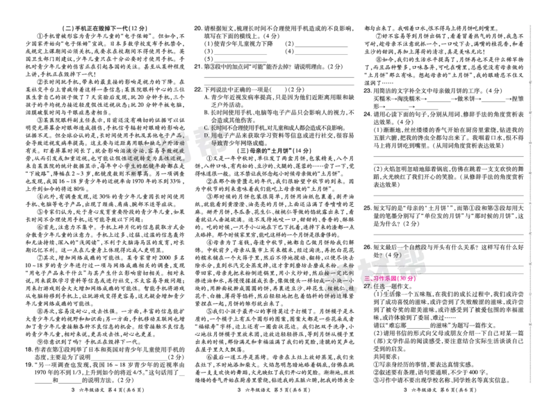 《24版语文RJ六下期末真题卷-河南_小学语文精品试卷合集（1-6年级下册）_《期末真题卷》》第6页预览