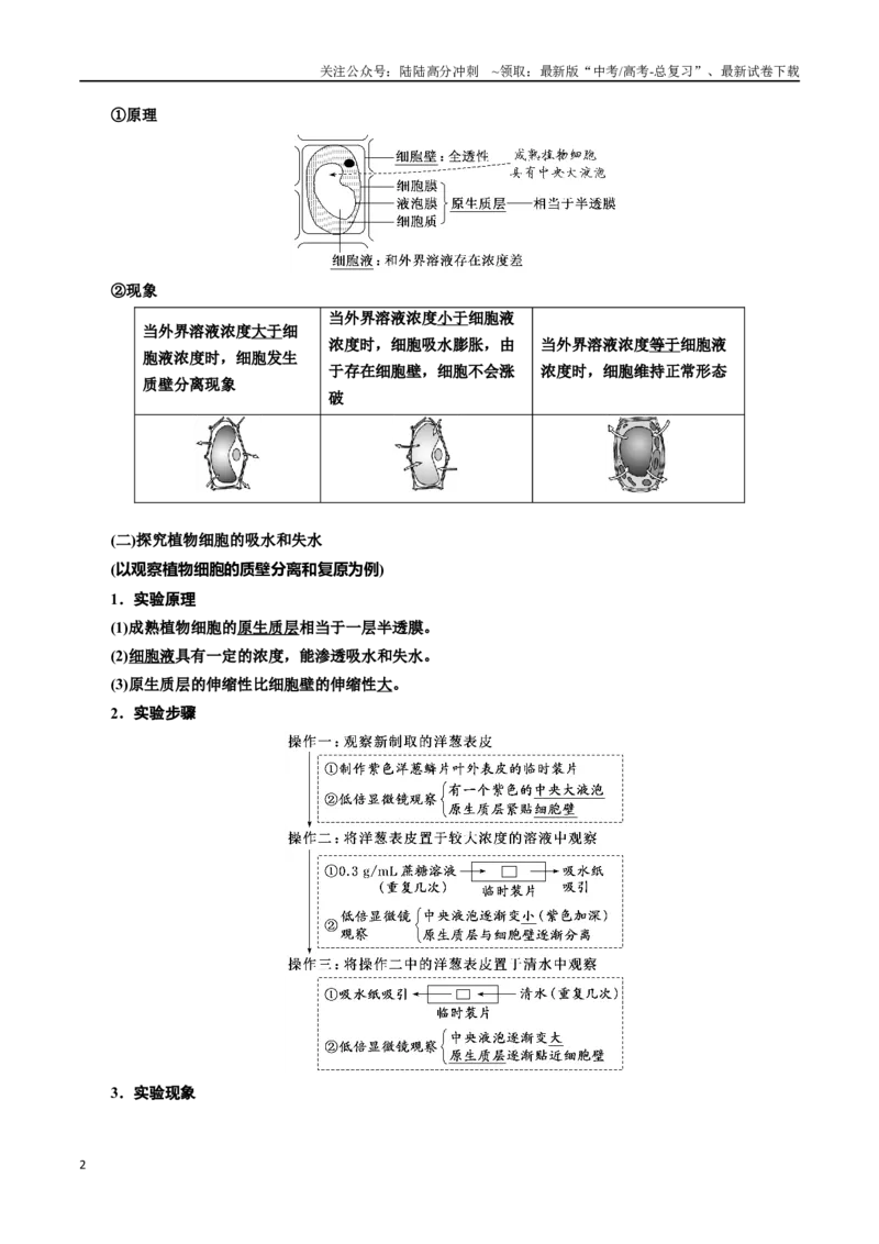 《专题7物质运输（解析版)_06-生物-高考总复习_一轮复习_2024年_2024年高考生物一轮复习重难点专项突破_资料》第2页预览